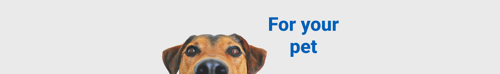 Responsive Banner