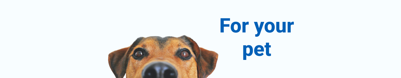 Responsive Banner