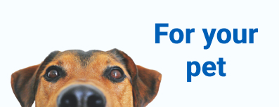 Responsive Banner