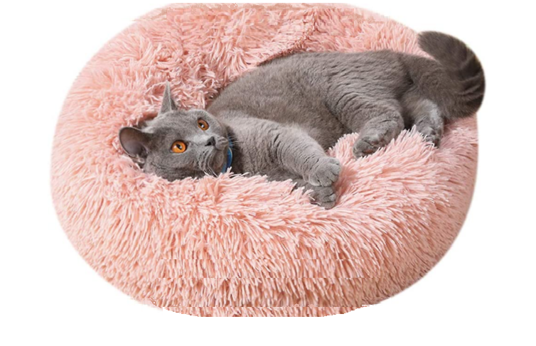 CatAccessories