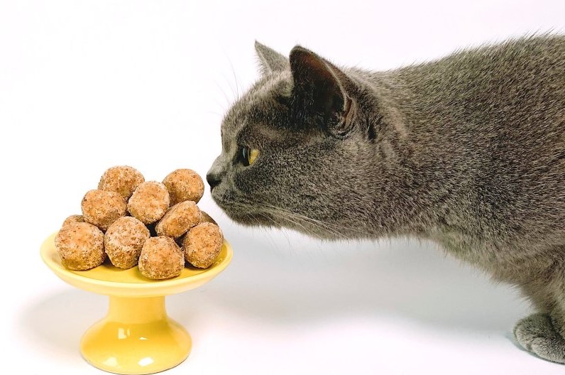 CatFood